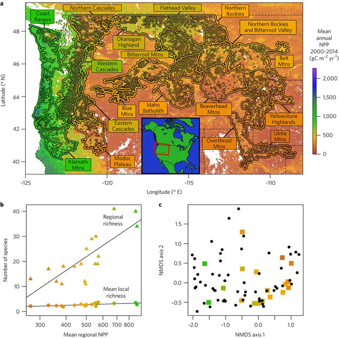 New publication from Tyson community members on biodiversity-productivity relationships