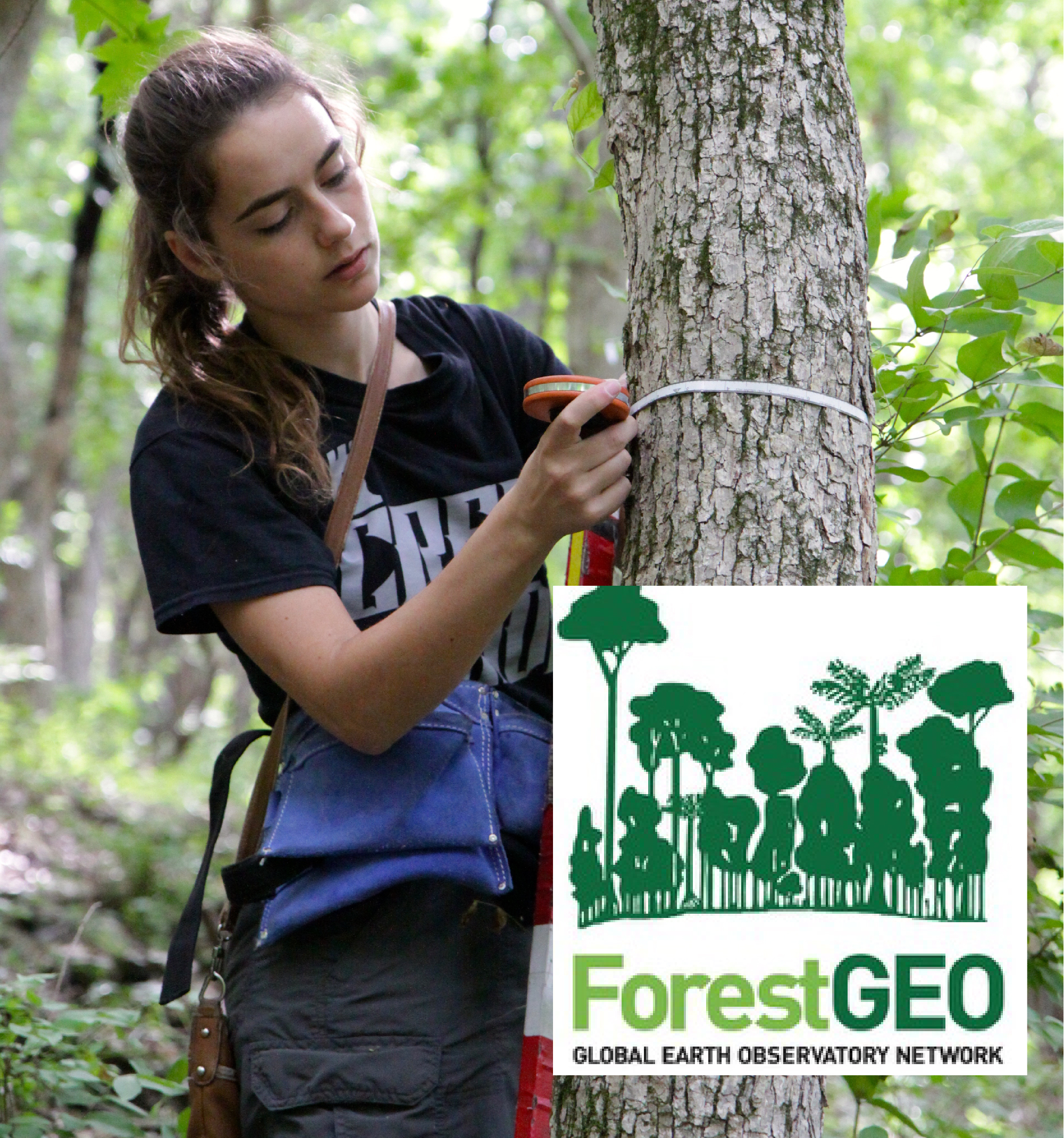 forestgeo_logo.jpg