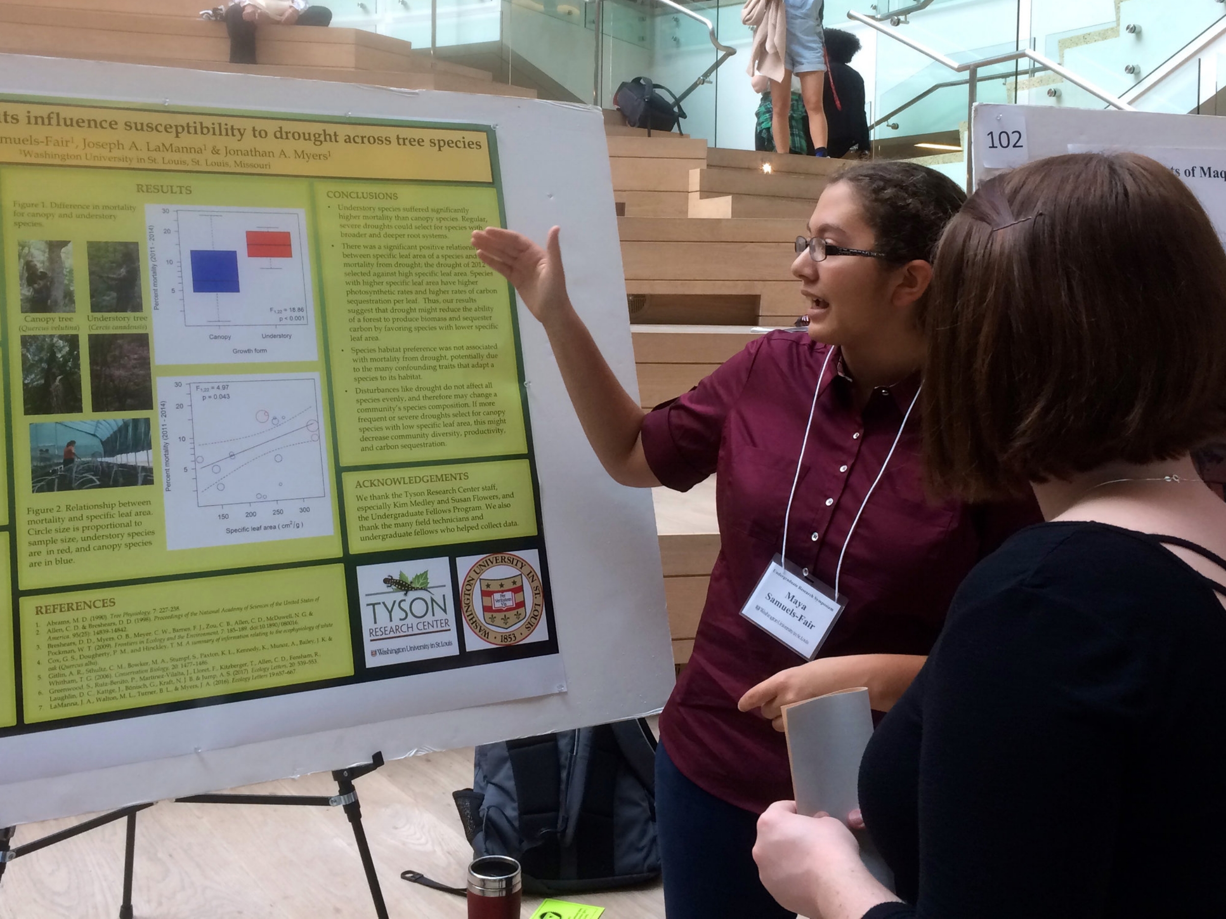 Tyson undergrad and high school fellows dominate WashU Fall Research Symposium