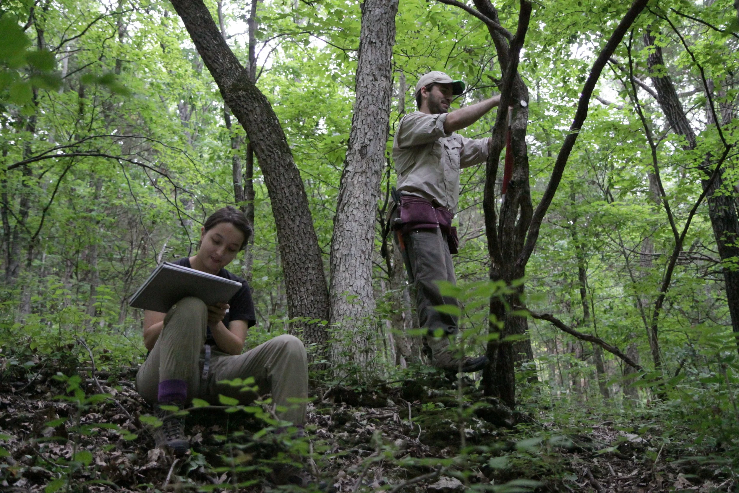 The importance of ForestGEO plots (video)