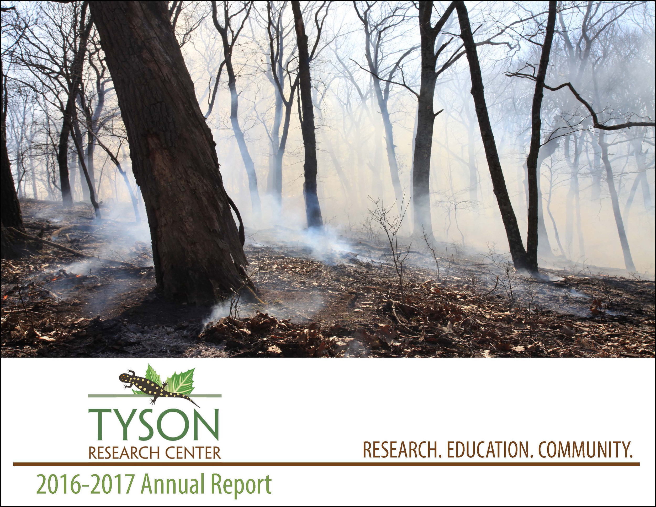 2016-2017 annual report now available