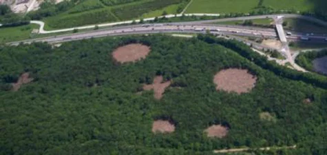 A landscape-scale experiment in restoring Ozark glades