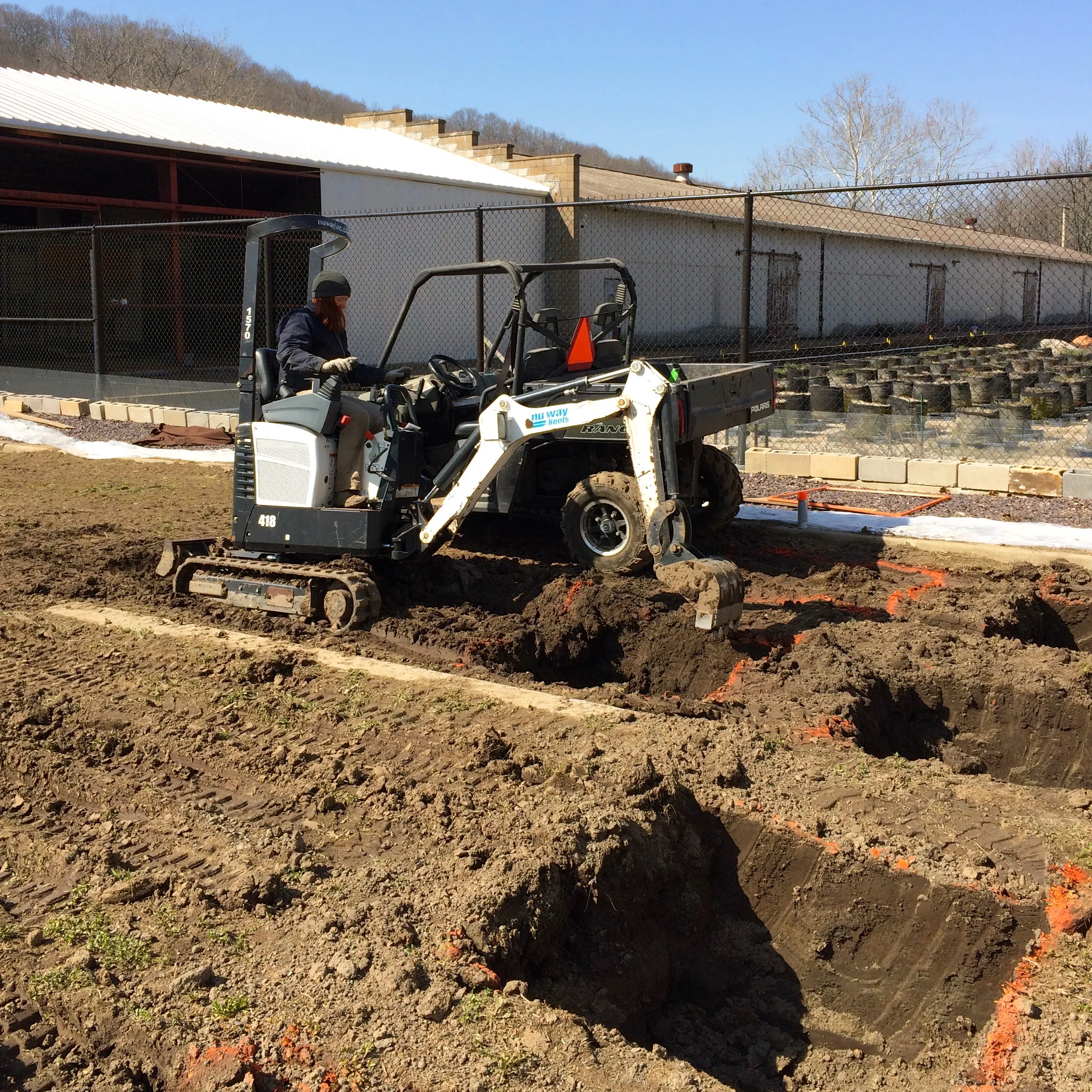 Breaking new ground in the Tyson research garden