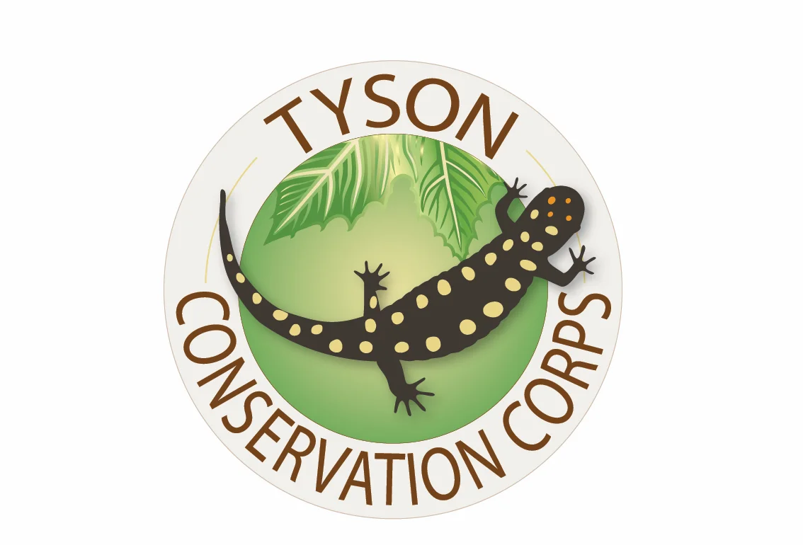 TCC_logo.jpg