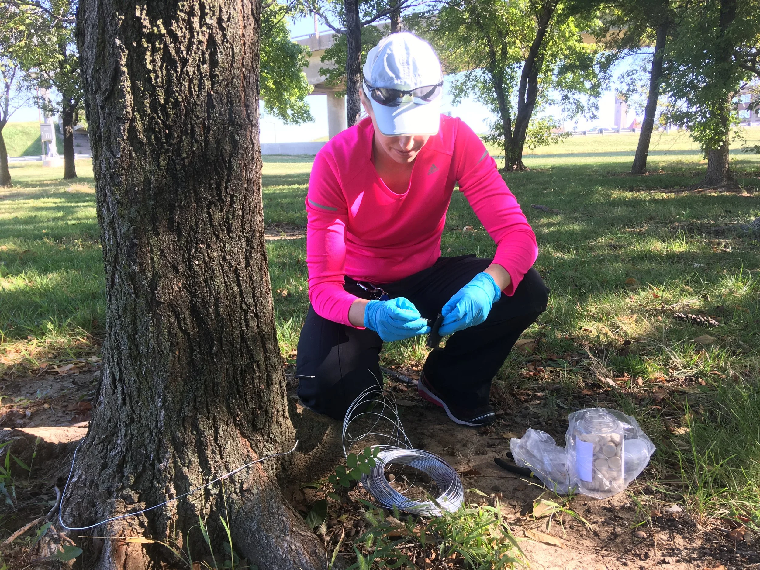 Dr. Anthonysamy sets up a scent lure used to attract animals within the camera field of view.
