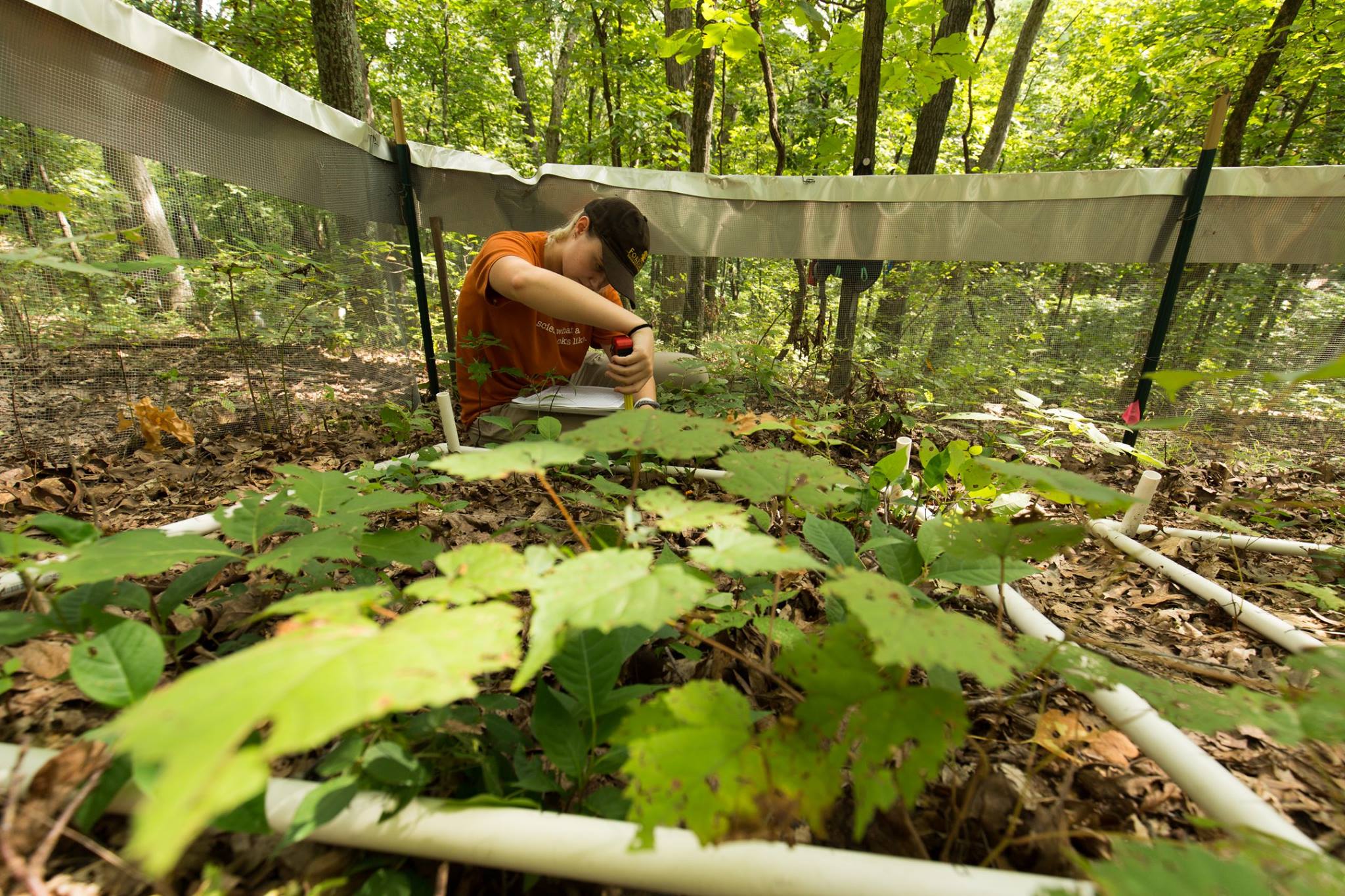   research. education. community.   We are the environmental field station of Washington University in St. Louis. 