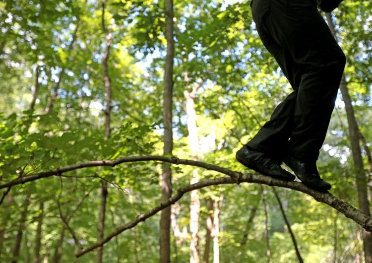 "We feel clear-headed and centered after spending time in the forest," said artist-in-residence David Marchant, who tests his balance on a small limb on Wednesday, July 31, 2019, at Tyson Research Center. Marchant, a professor of the practice in dance at Washington University, spent five weeks conducting research in somatic ecology and exploring movement in natural landscapes. Photo by Laurie Skrivan, lskrivan@post-dispatch.com
