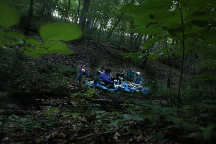 Tick & Wildlife research fellows working with Solny Adalsteinsson, PhD, wait in the solace of the forest for their next timed interval to check for any netted birds on Wednesday, July 31, 2019, at Tyson Research Center. The team is researching how controlled burns affect tick and wildlife abundance, diversity and behavior by netting birds. Photo by Laurie Skrivan, lskrivan@post-dispatch.com