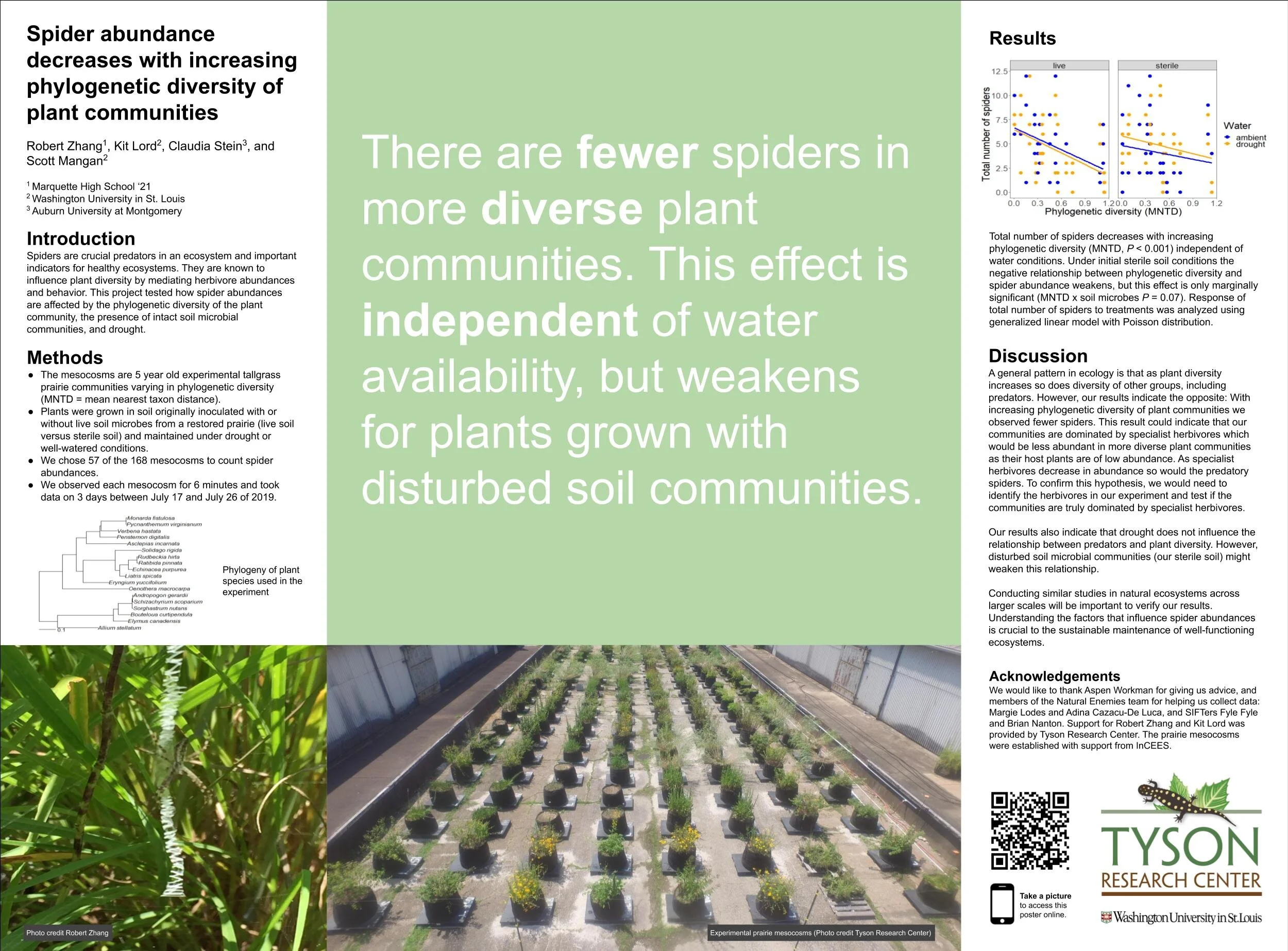 Robbie's TERF Poster.jpg