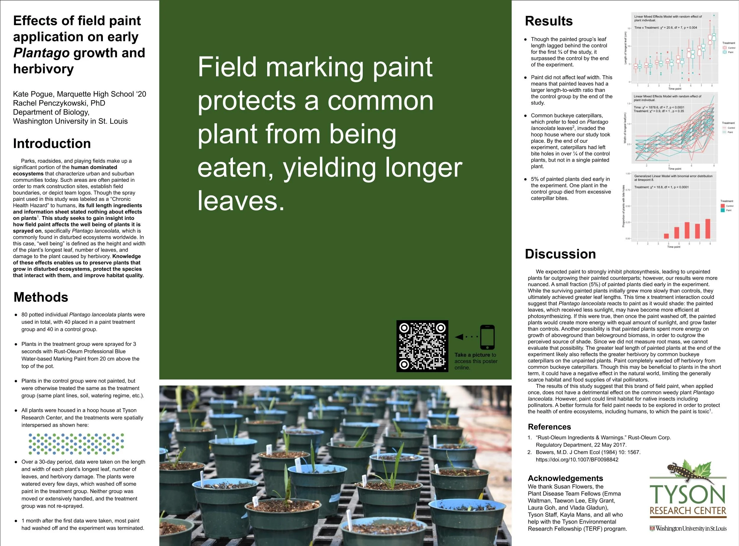 Field Paint Kate Pogue.jpg