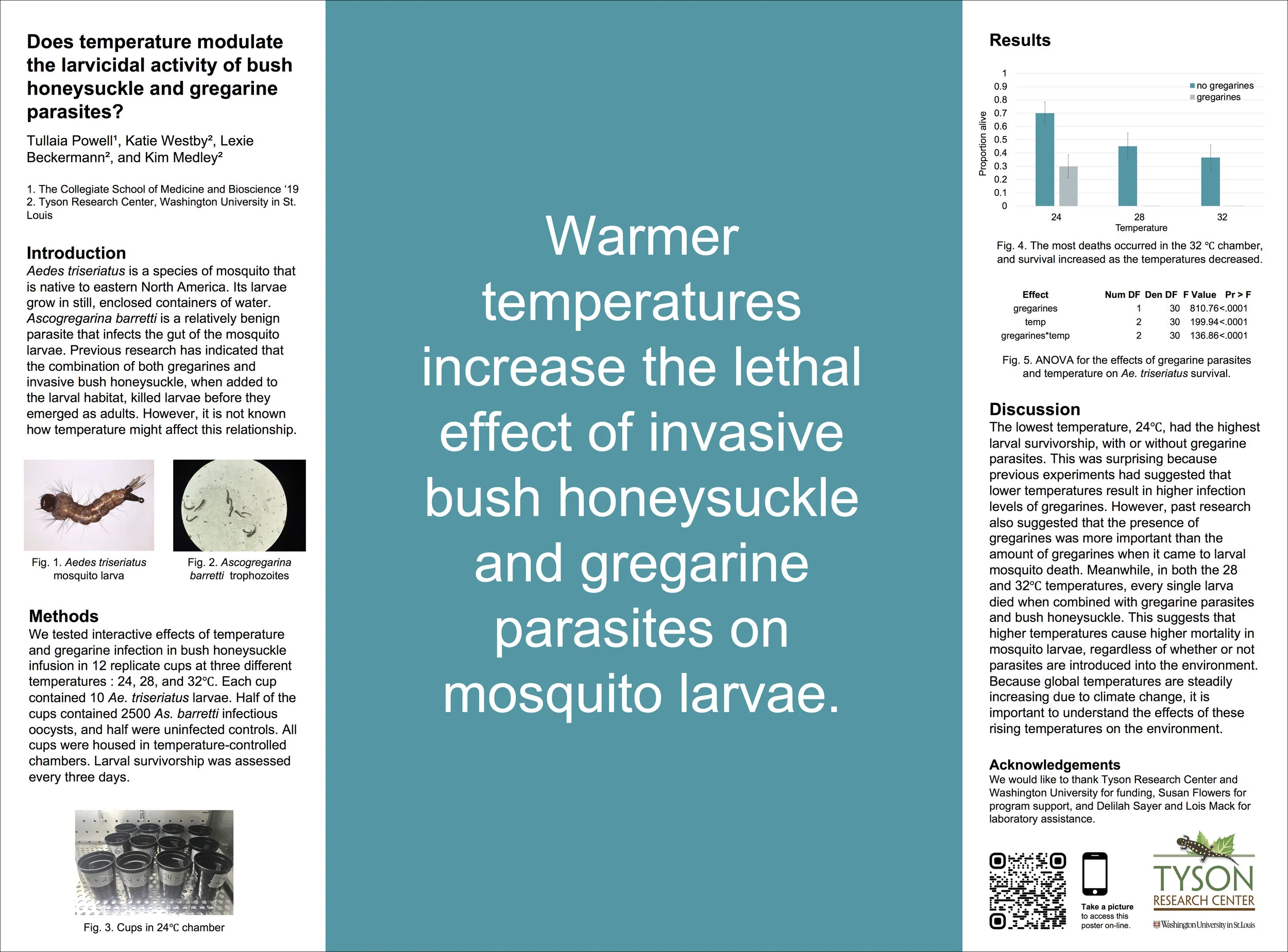 powell2019final skf.jpg