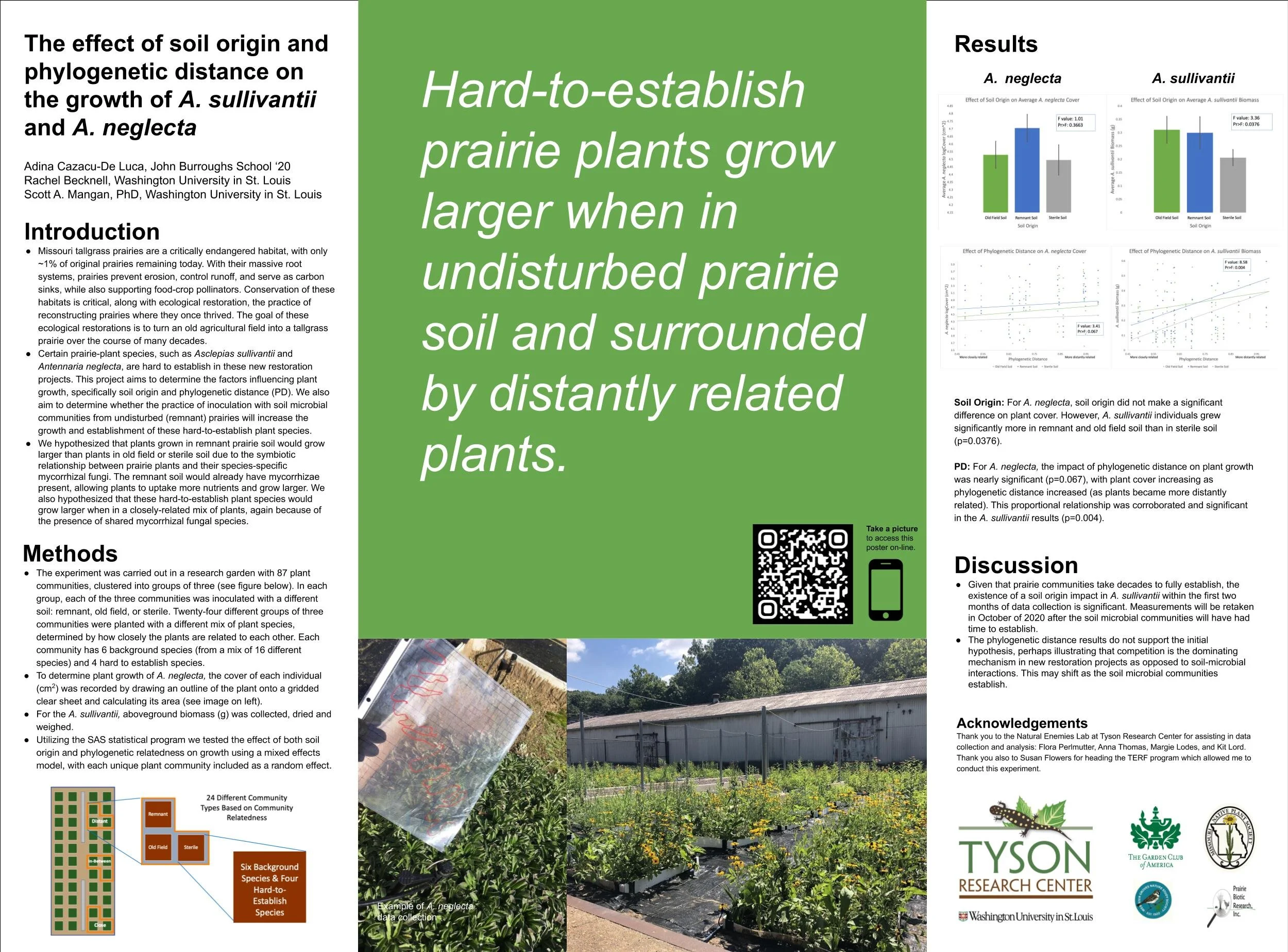 Adina Cazacu-De Luca TERF poster.jpg