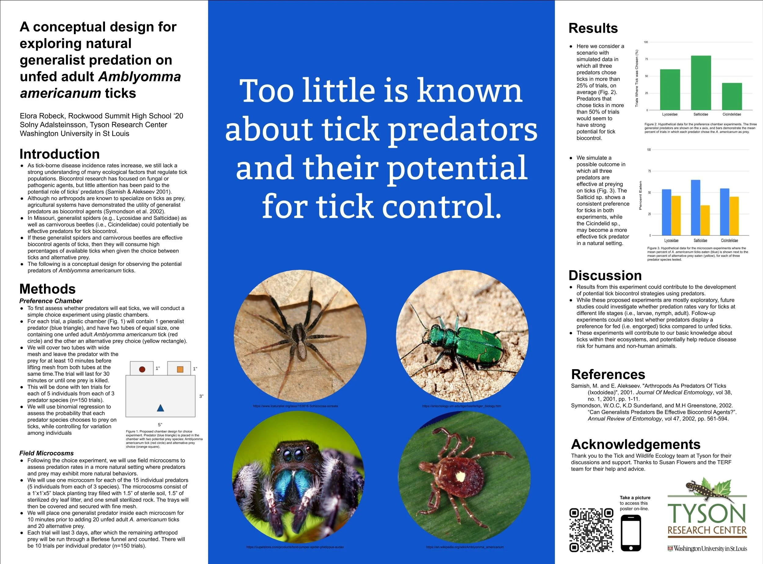 Elora Robeck TERF poster.jpg