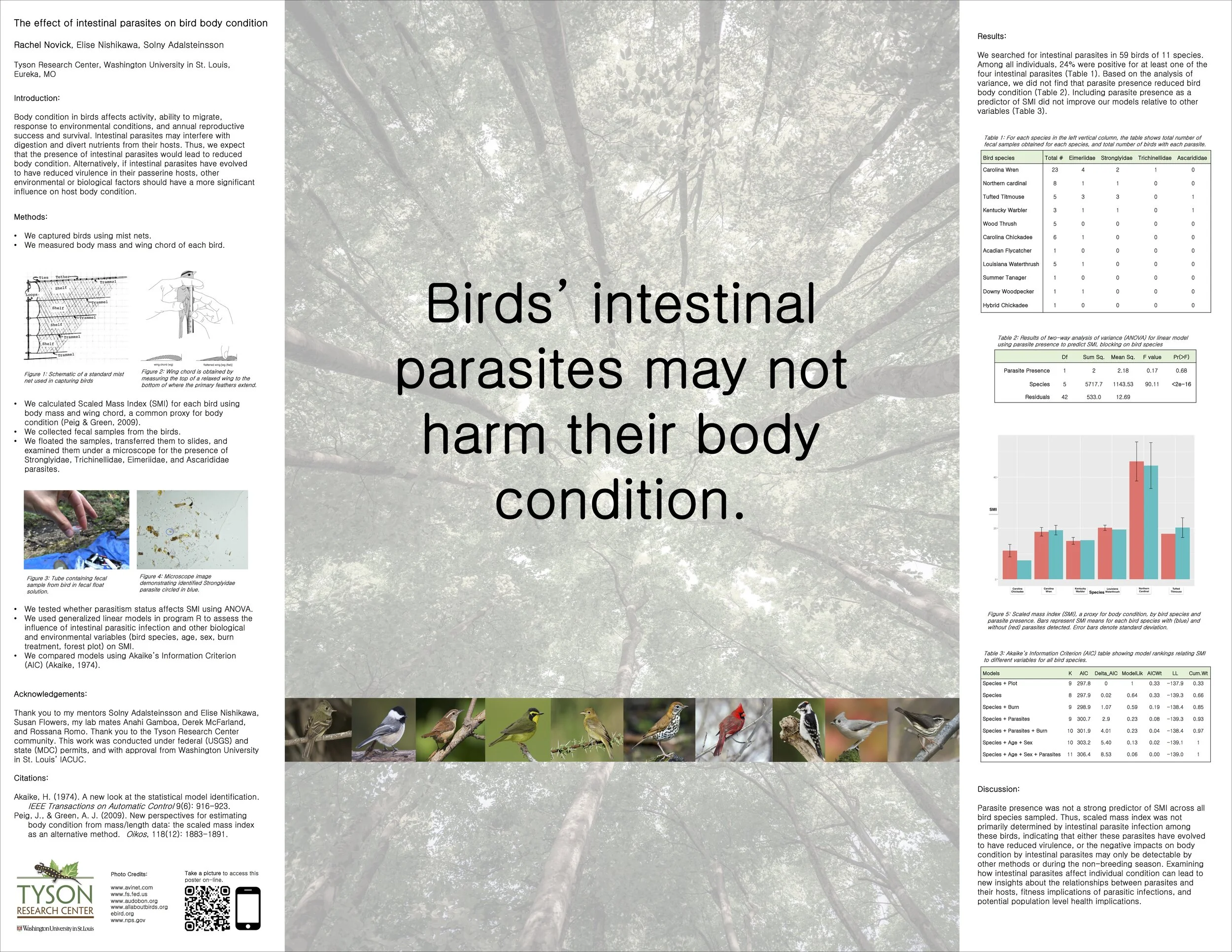 Rachel Novick POSTER.jpg