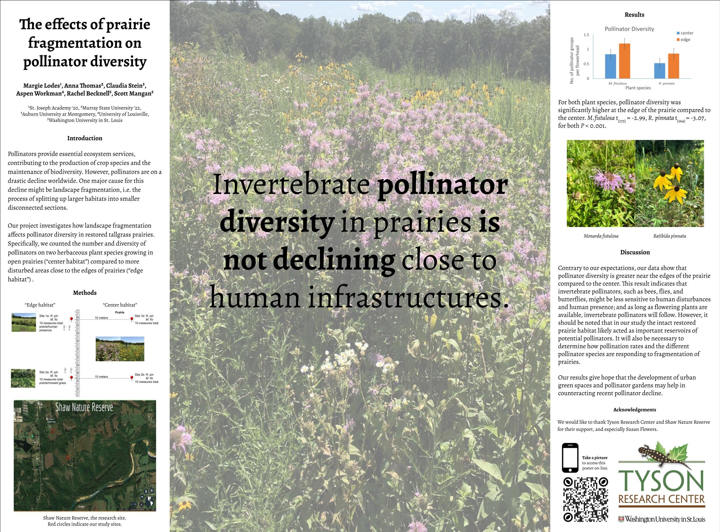 Margie Lodes TERF poster.jpg