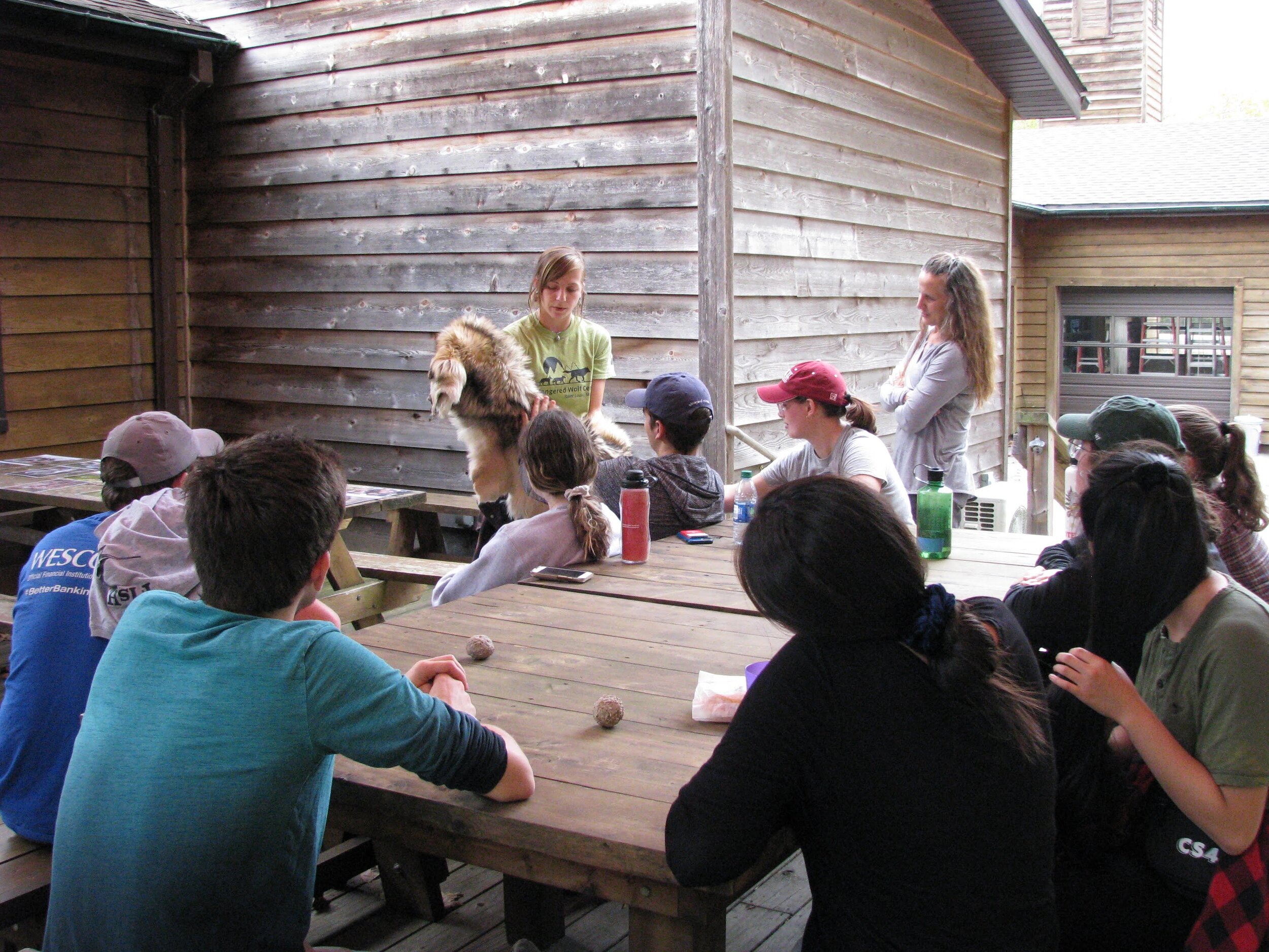 Endangered Wolf Center Tour 