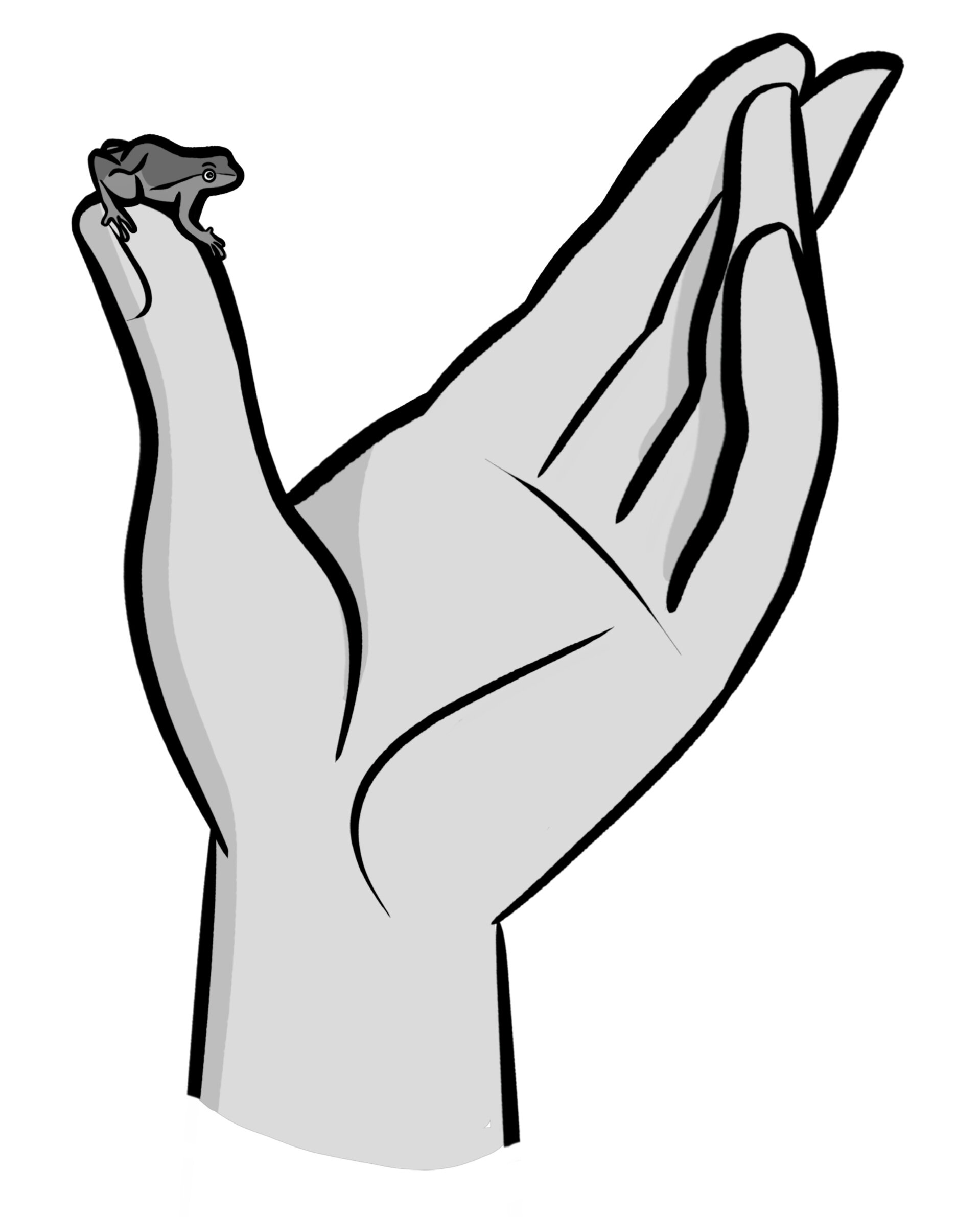 A frog the size of a fingernail.