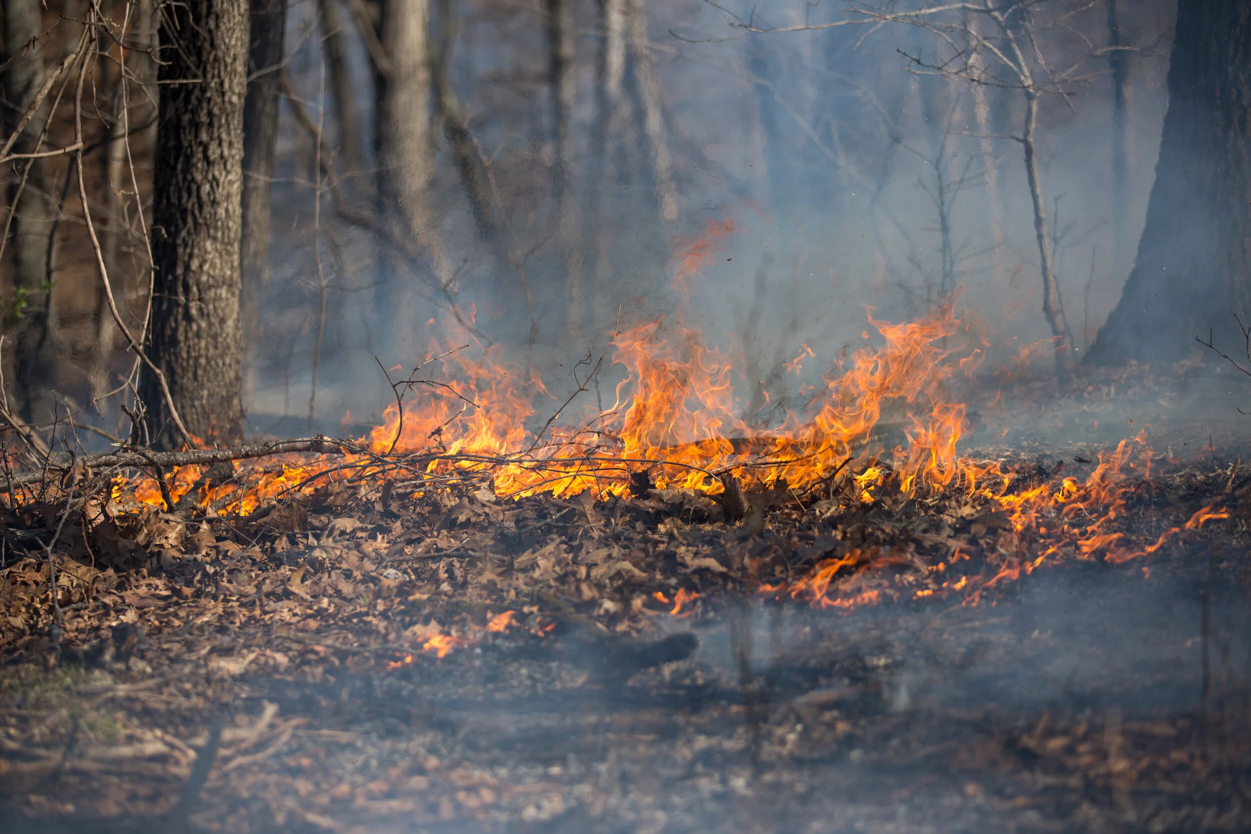 "Hot topic" article by Tyson humanities fellow published in The Ampersand