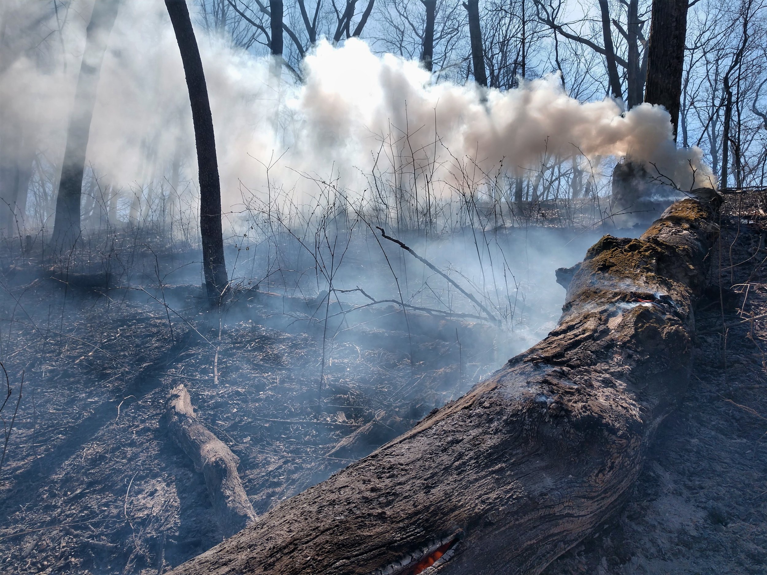   research. education. community.   We are the environmental field station of Washington University in St. Louis. 