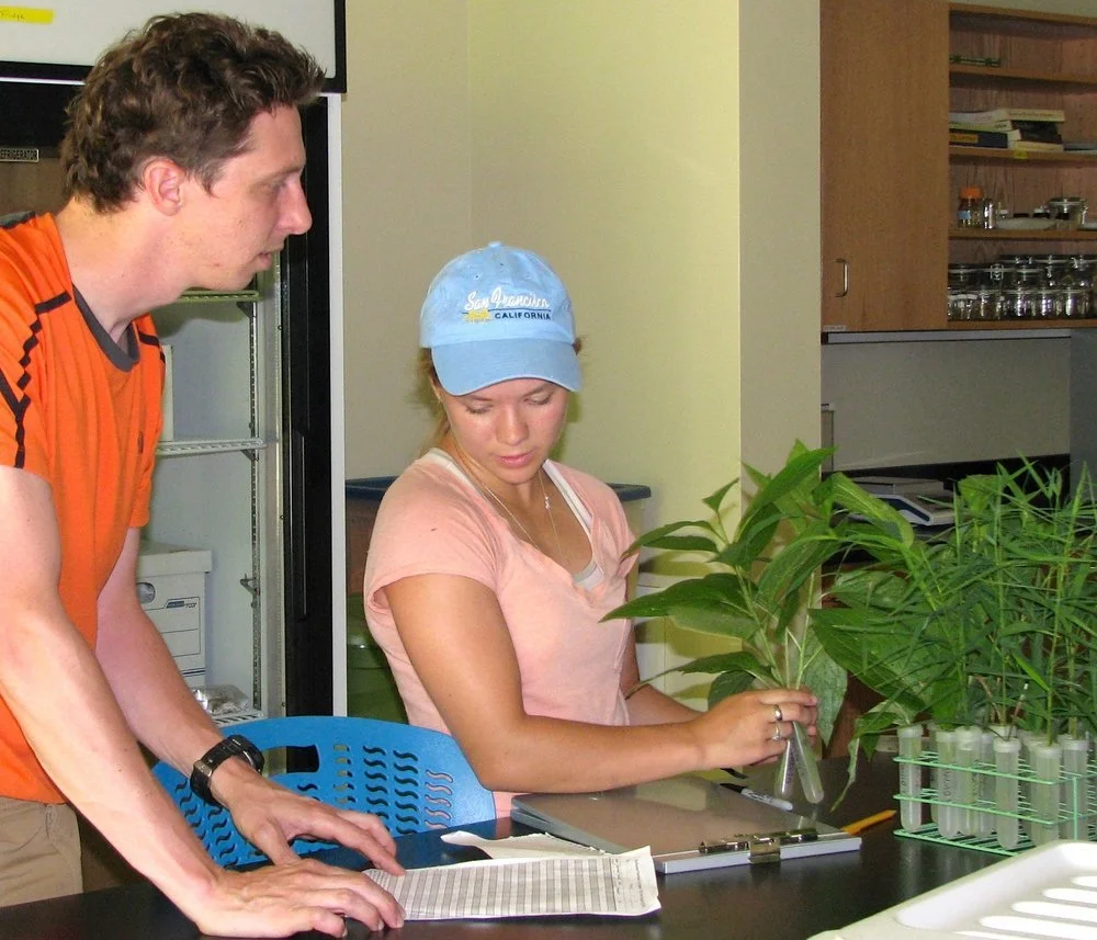 Explaining variation in the strength of biodiversity-ecosystem function relationships in metacommunities