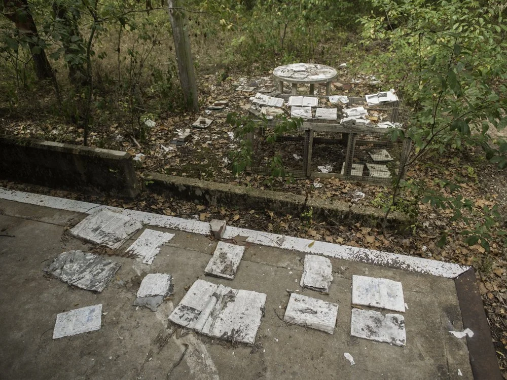 Investigating the environment as an artistic tool