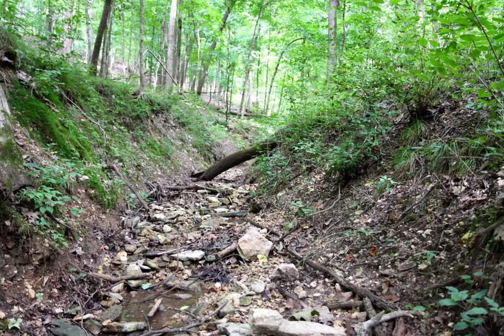 Assessment of trace metal abundance and speciation in soils and sediments