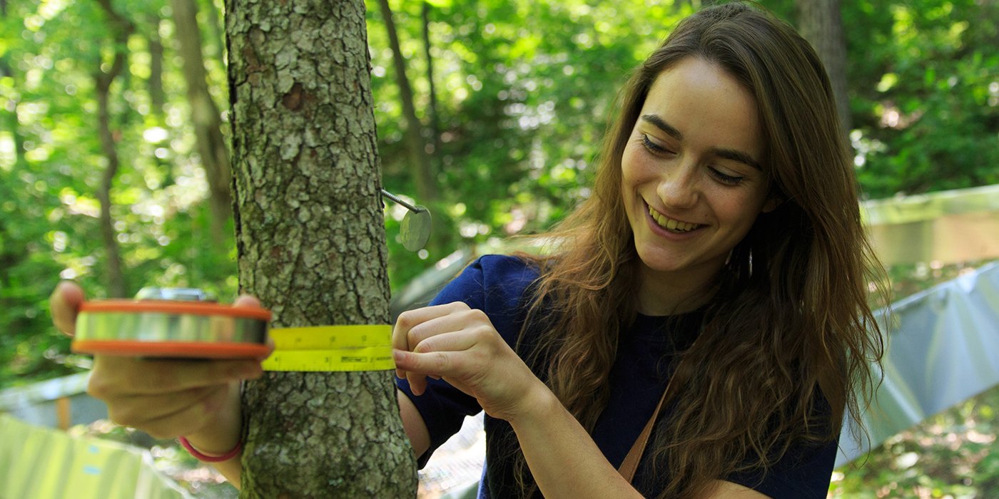 Former Tyson undergrad fellow publishes forest spatial biodiversity findings