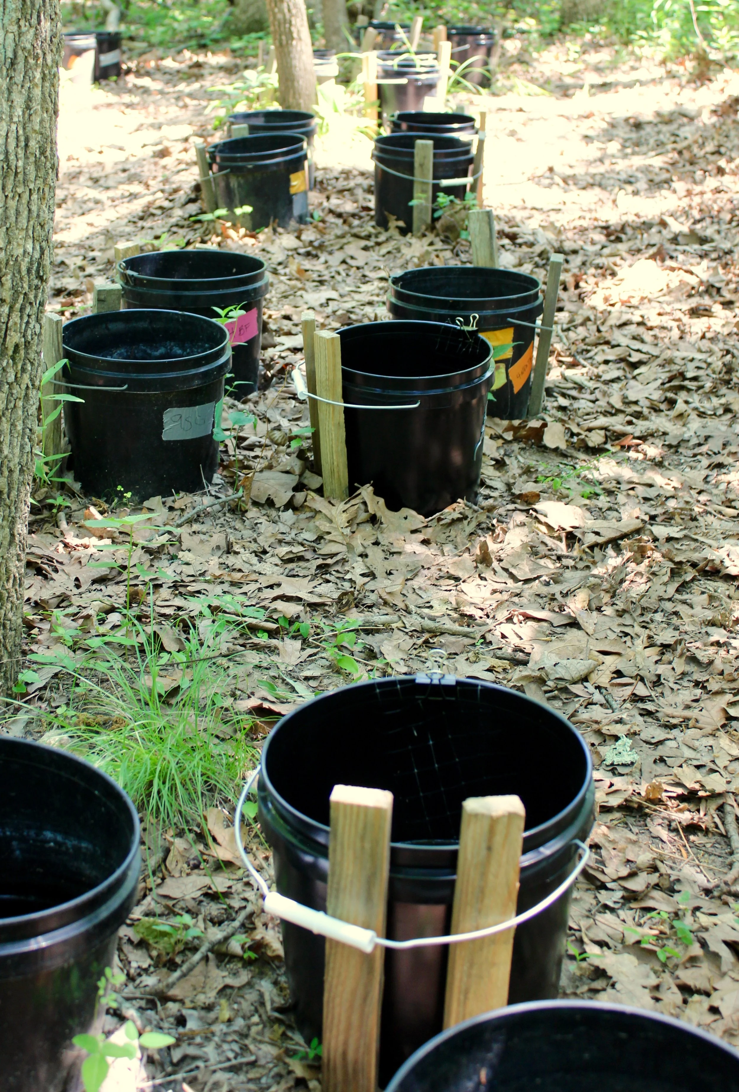 Trio of publications explain regional mosquito patterns