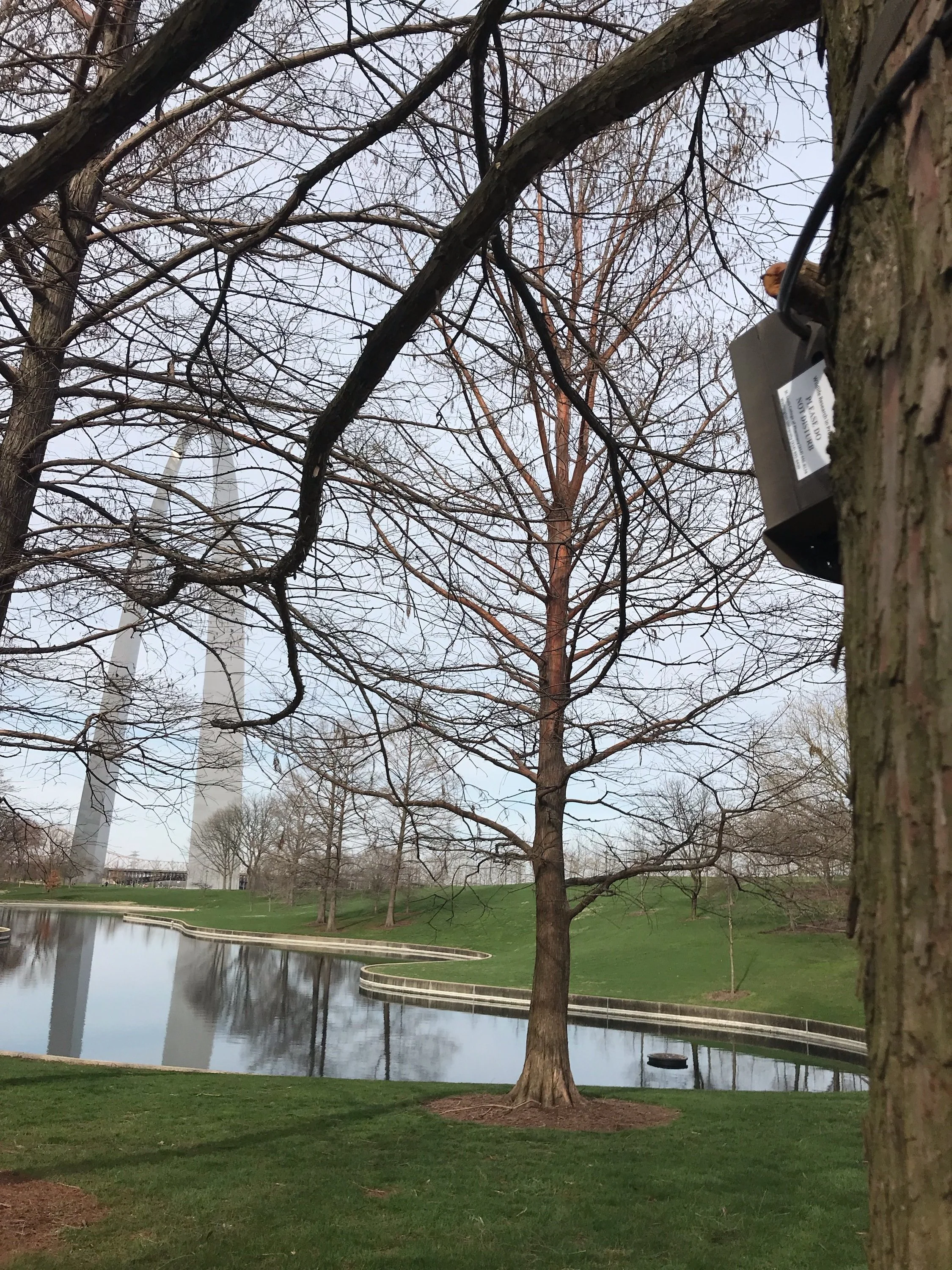 Climate change intensifies impact of urbanization on city-dwelling wildlife