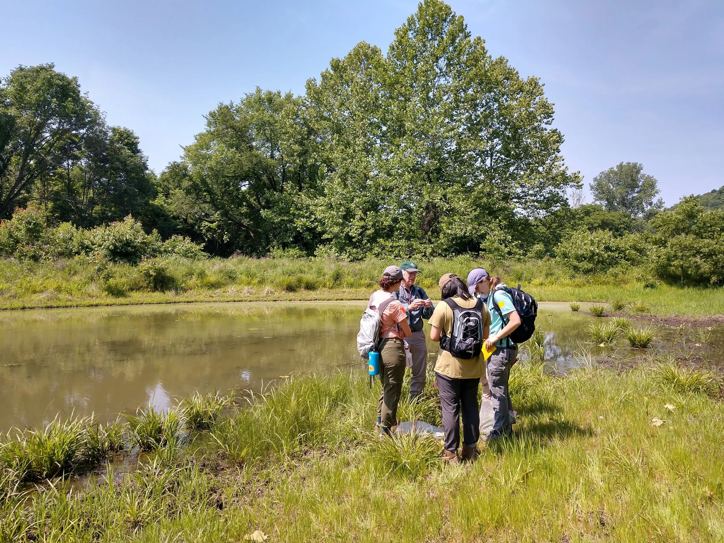 Tyson Flora Project Catalogs Plant Biodiversity