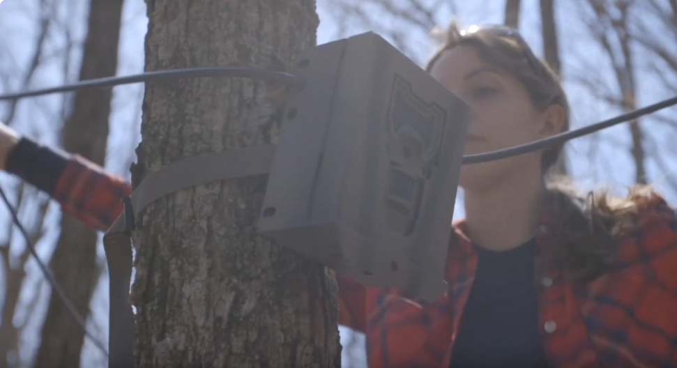 HEC-TV showcases the St. Louis Wildlife Project