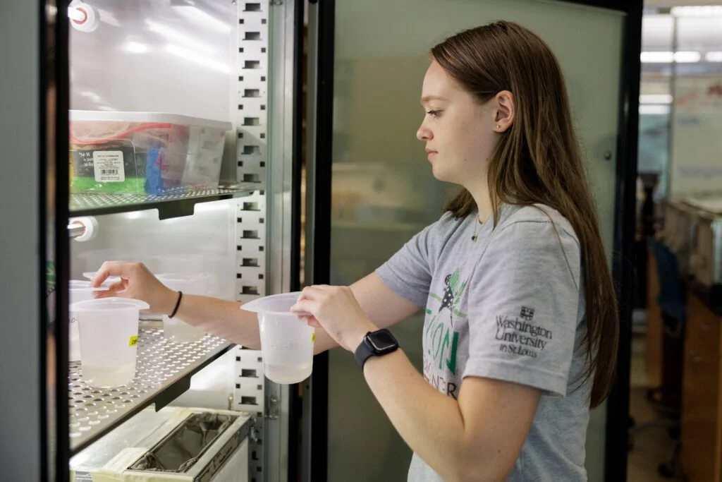 Tyson Research Center gets local high schoolers involved in research 