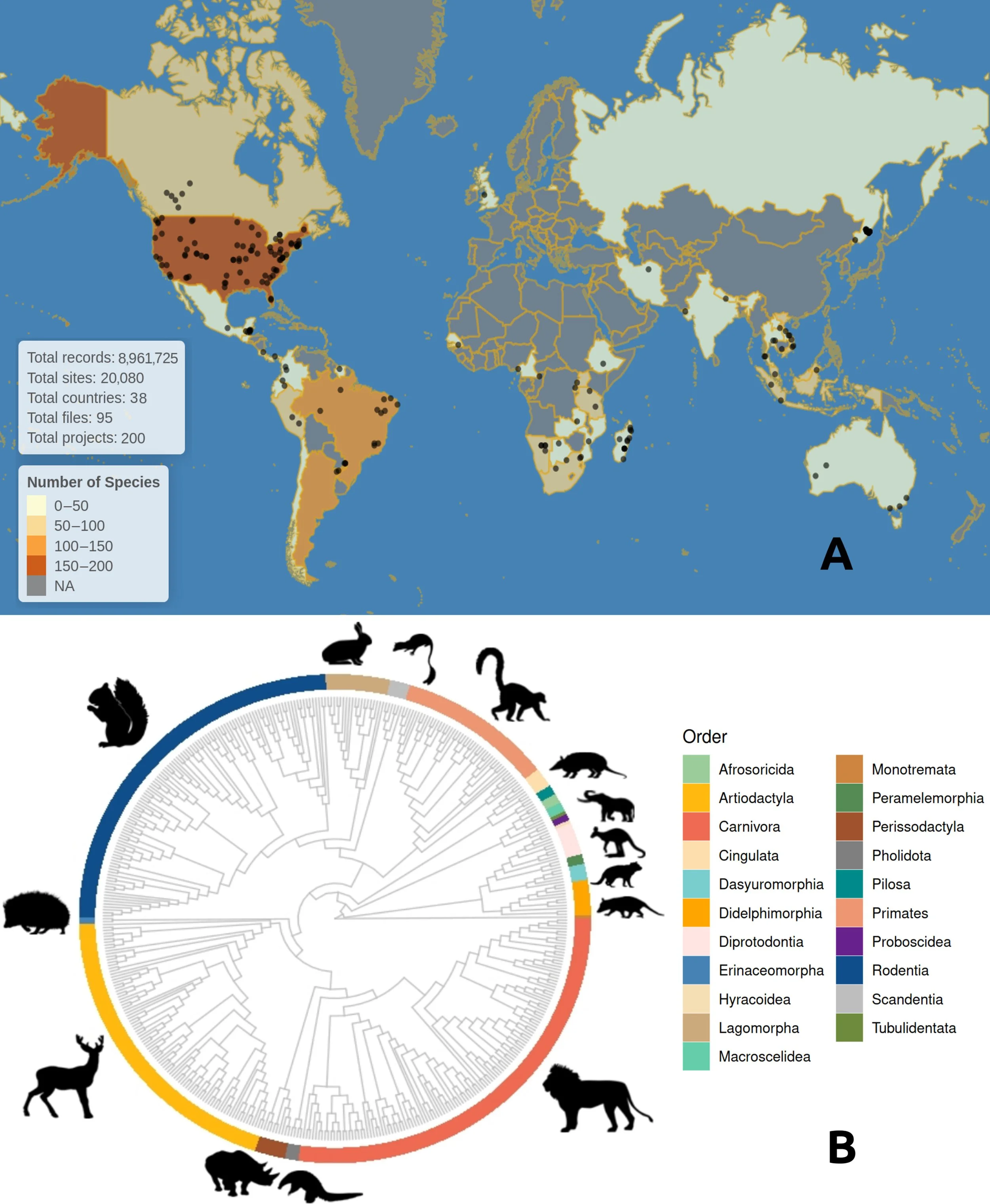 Tyson scientists contribute to study on mammal activity patterns