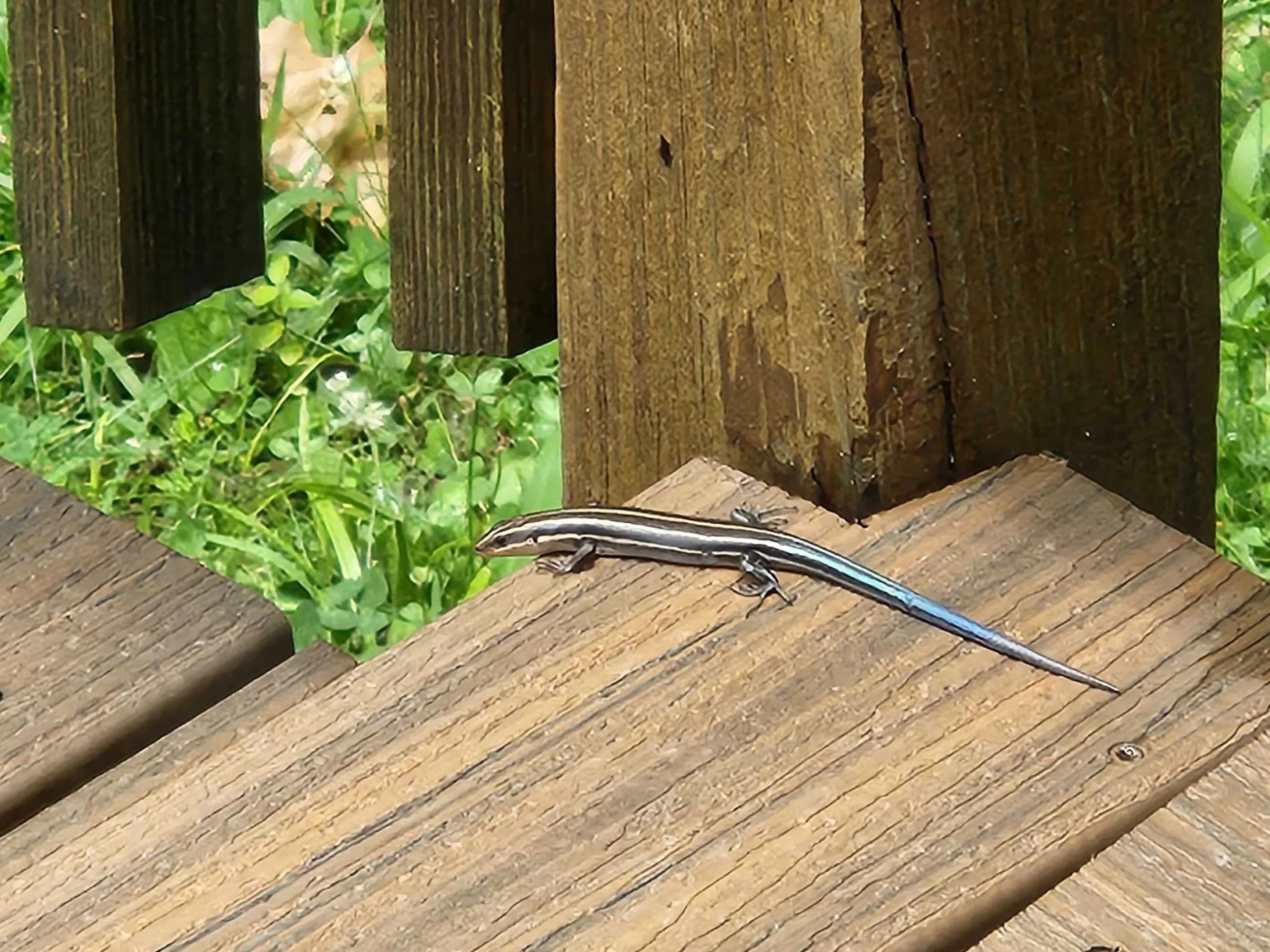 20260608_131814.jpg