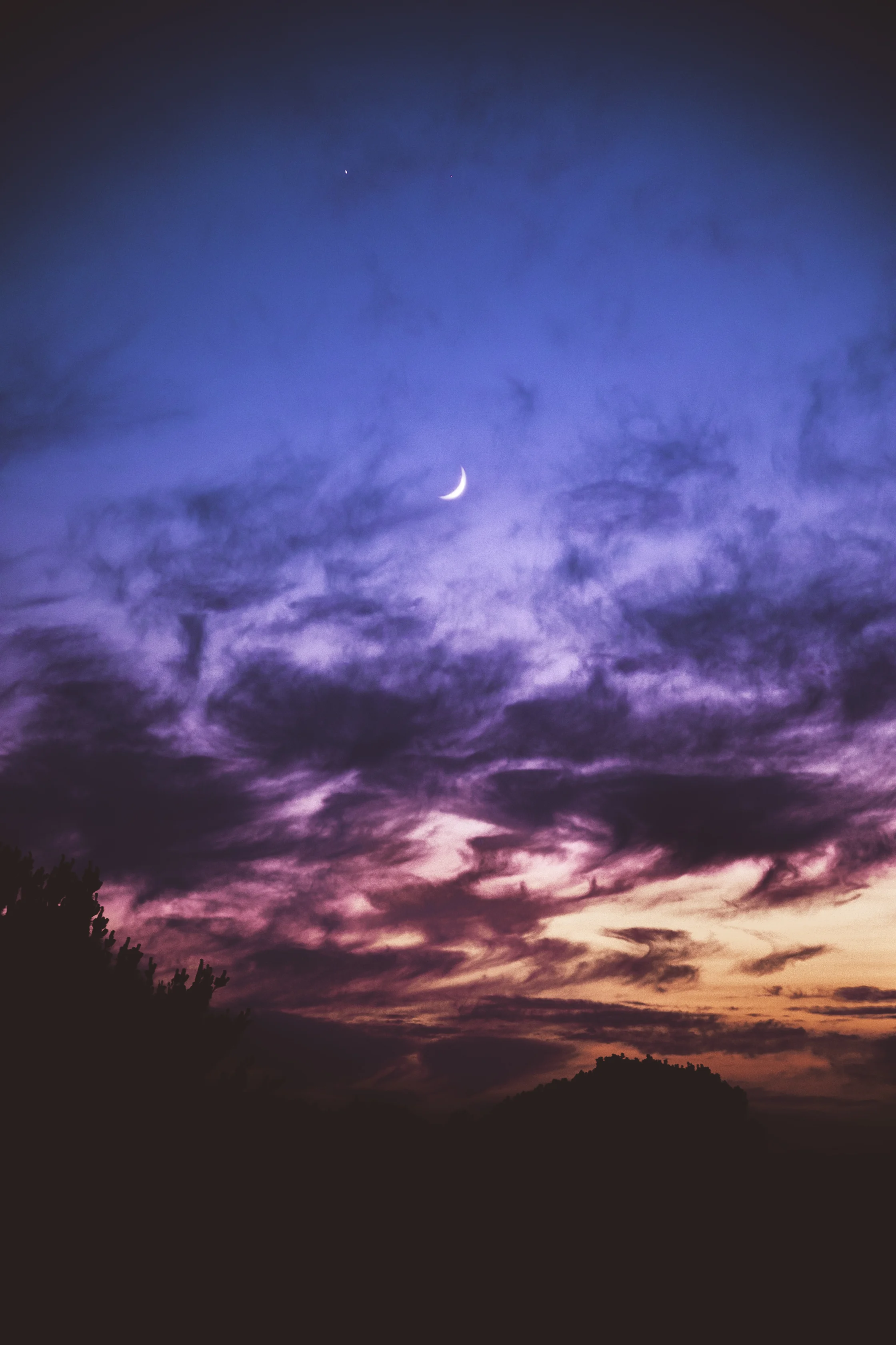 P69A0124-Edit.jpg