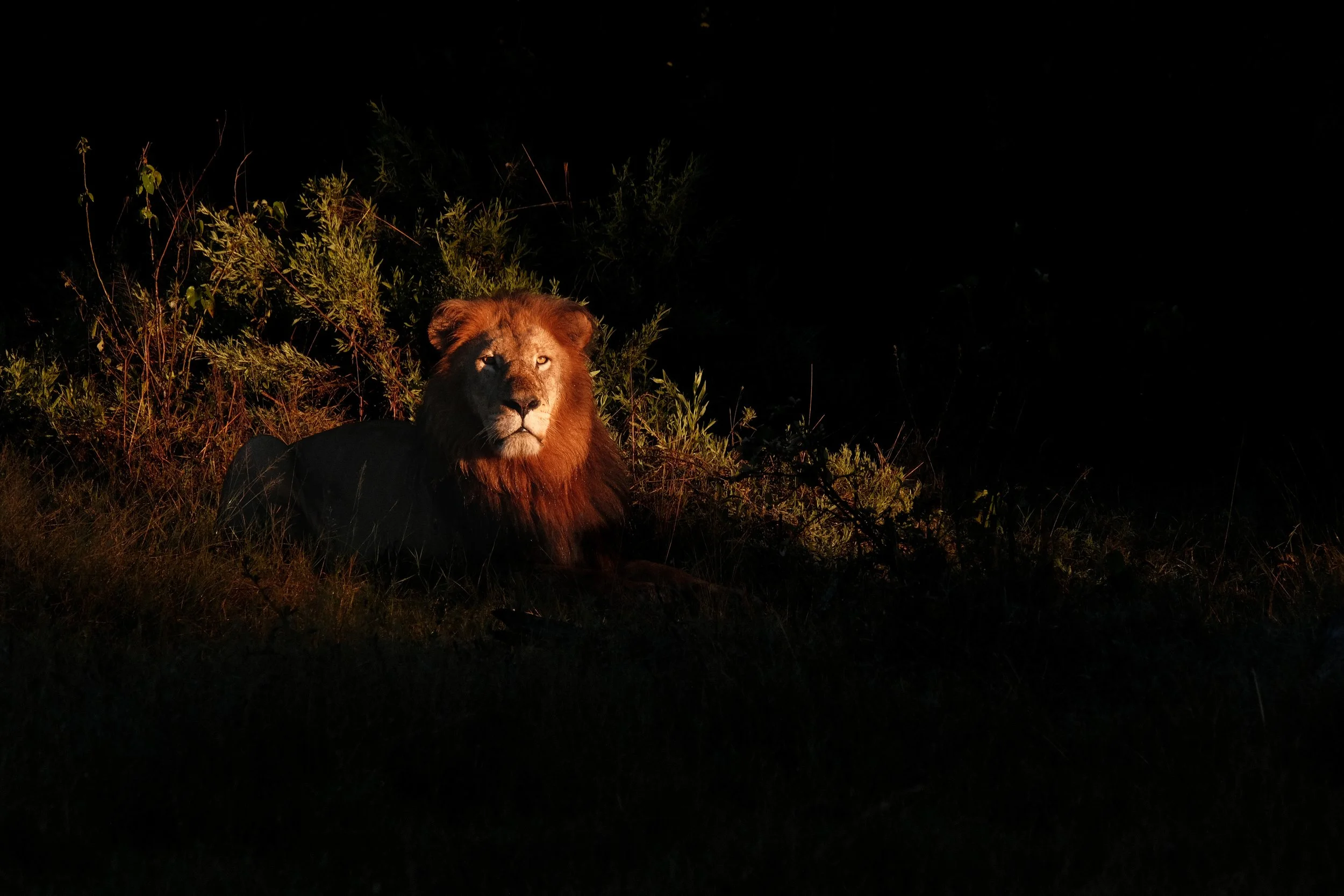 DSCF6930.jpg