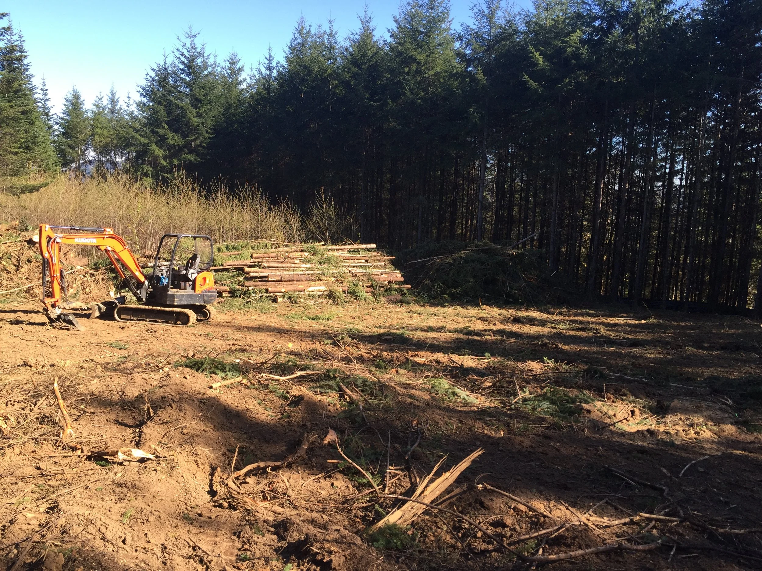 Cleared, graded building lot with a Columbia Groundwork mini excavator after land clearing in Cowlitz County, WA
