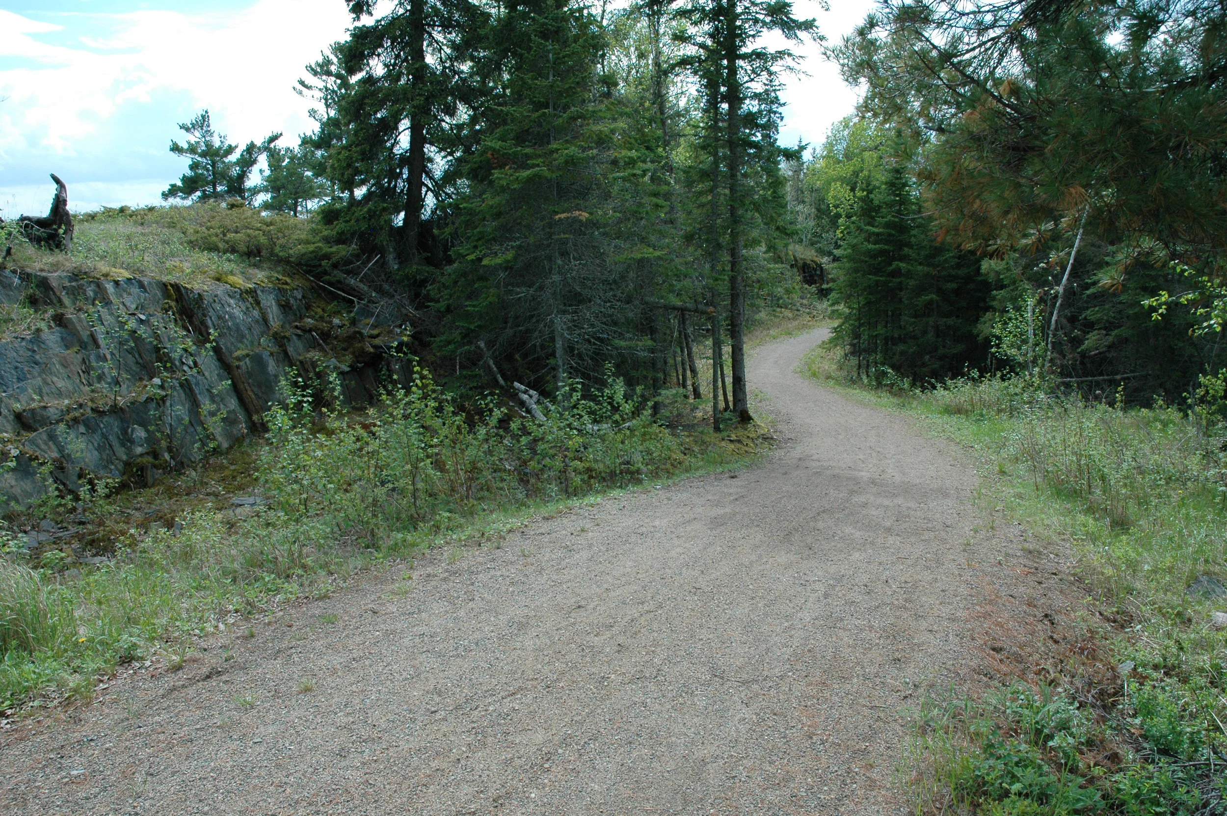 DSC_0031pro copy.jpg
