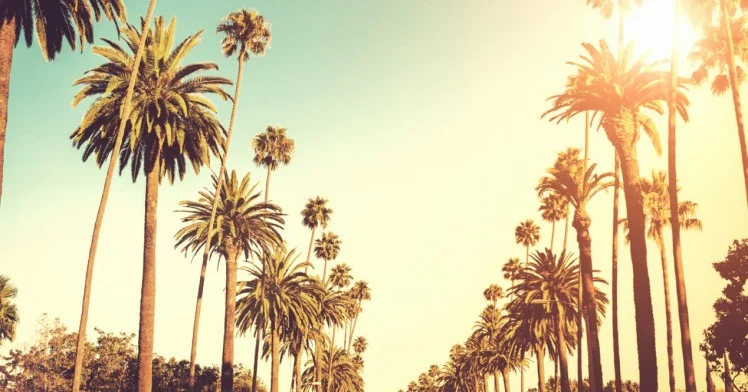 19. los_angeles_banner_highlight.jpeg