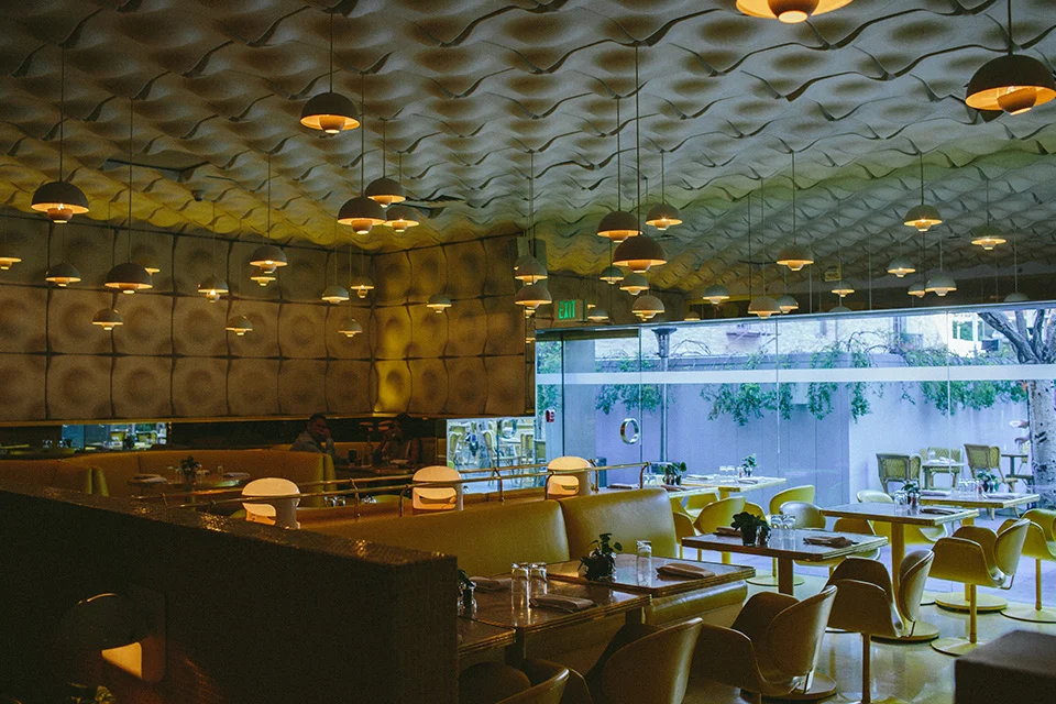 The Standard Hotel — LA Downtowner