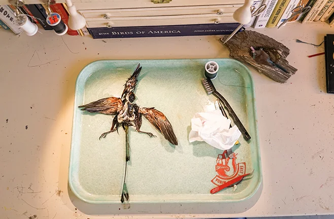 PreyTaxidermy3