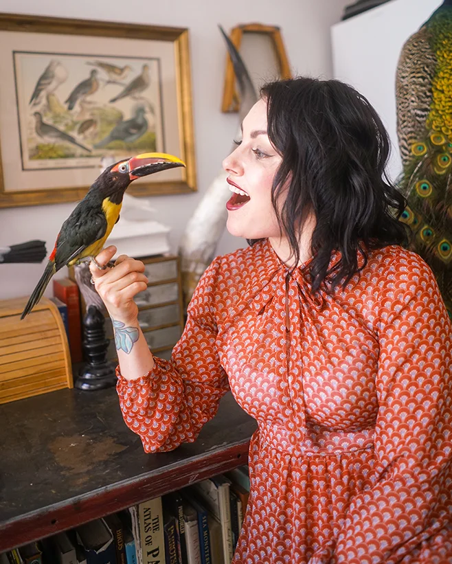 PreyTaxidermy5