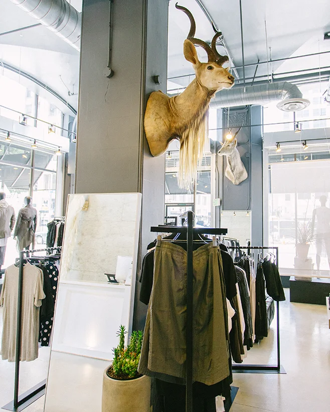 Skingraft4