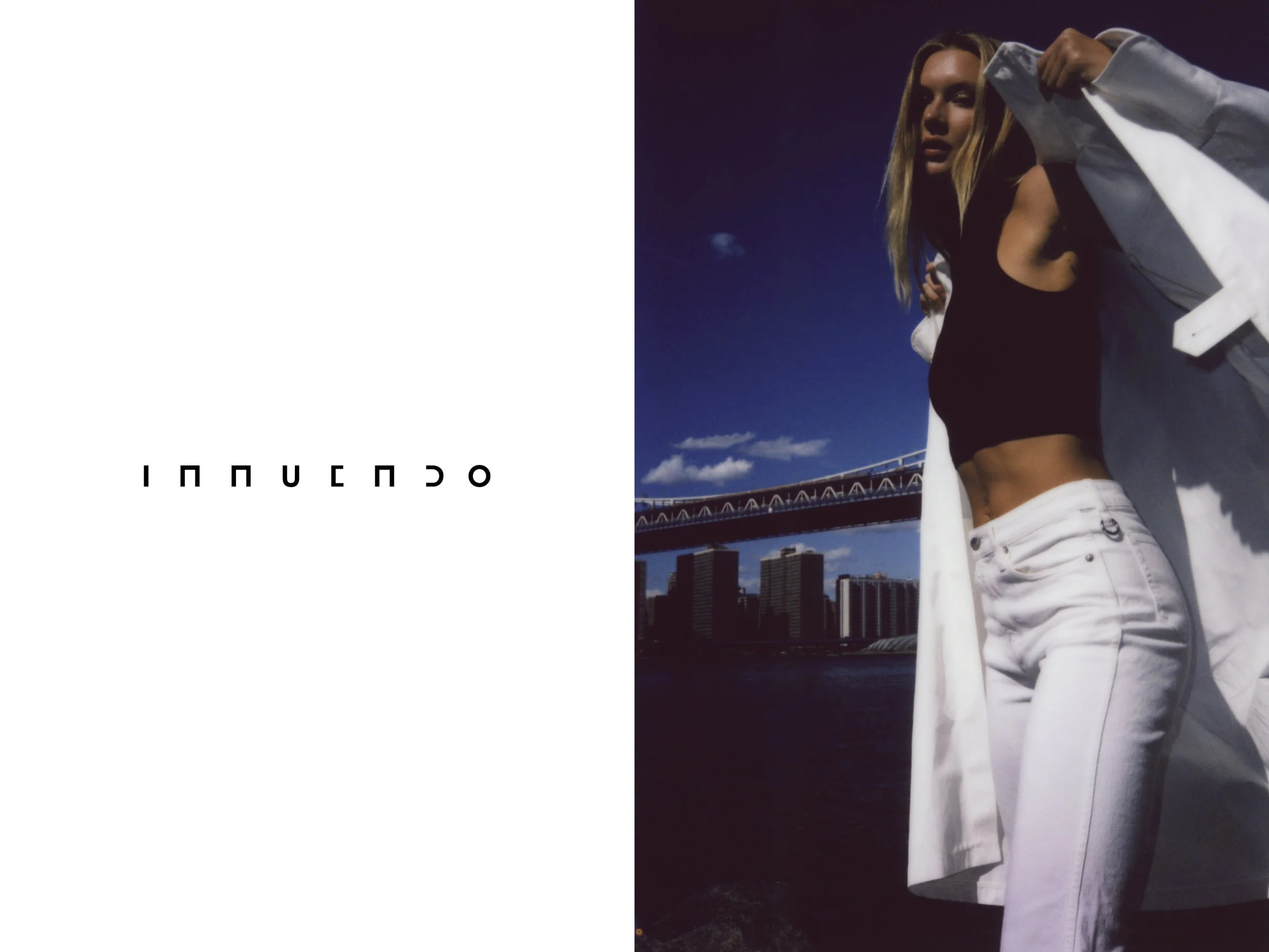 INNUENDO BY NGUYEN DO - FRAME.jpg