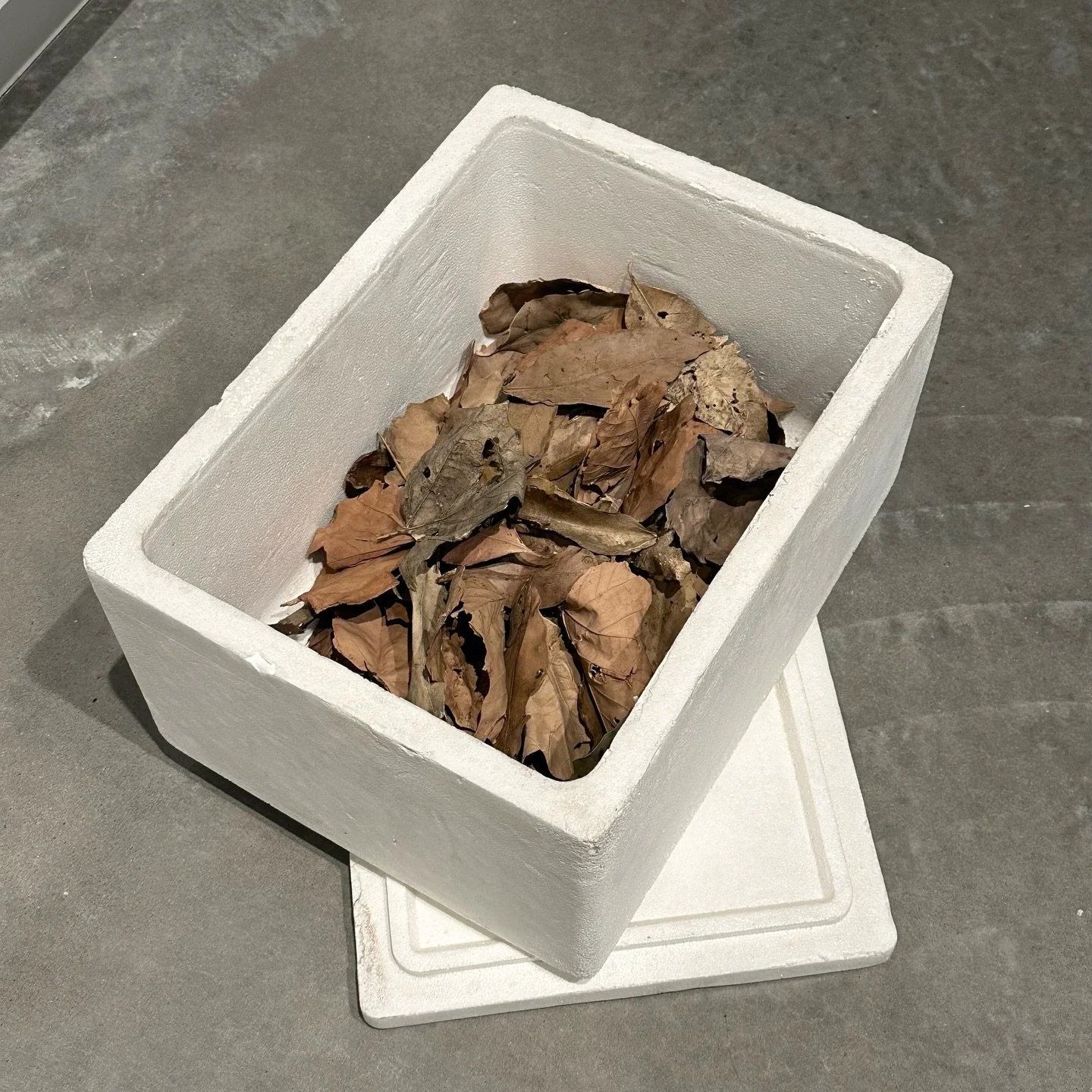 Some snapshots&nbsp;from the clever and beguiling show of sculpture by Hany Armanious at @buxton_contemporary (Melbourne). Organised by the @henrymooreinstitute, Hany&rsquo;s mastery of material is on full display.&nbsp;
No, that is not a cheese crac