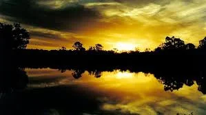 Submission to the Select Senate Committee on the Murray Darling Basin Plan