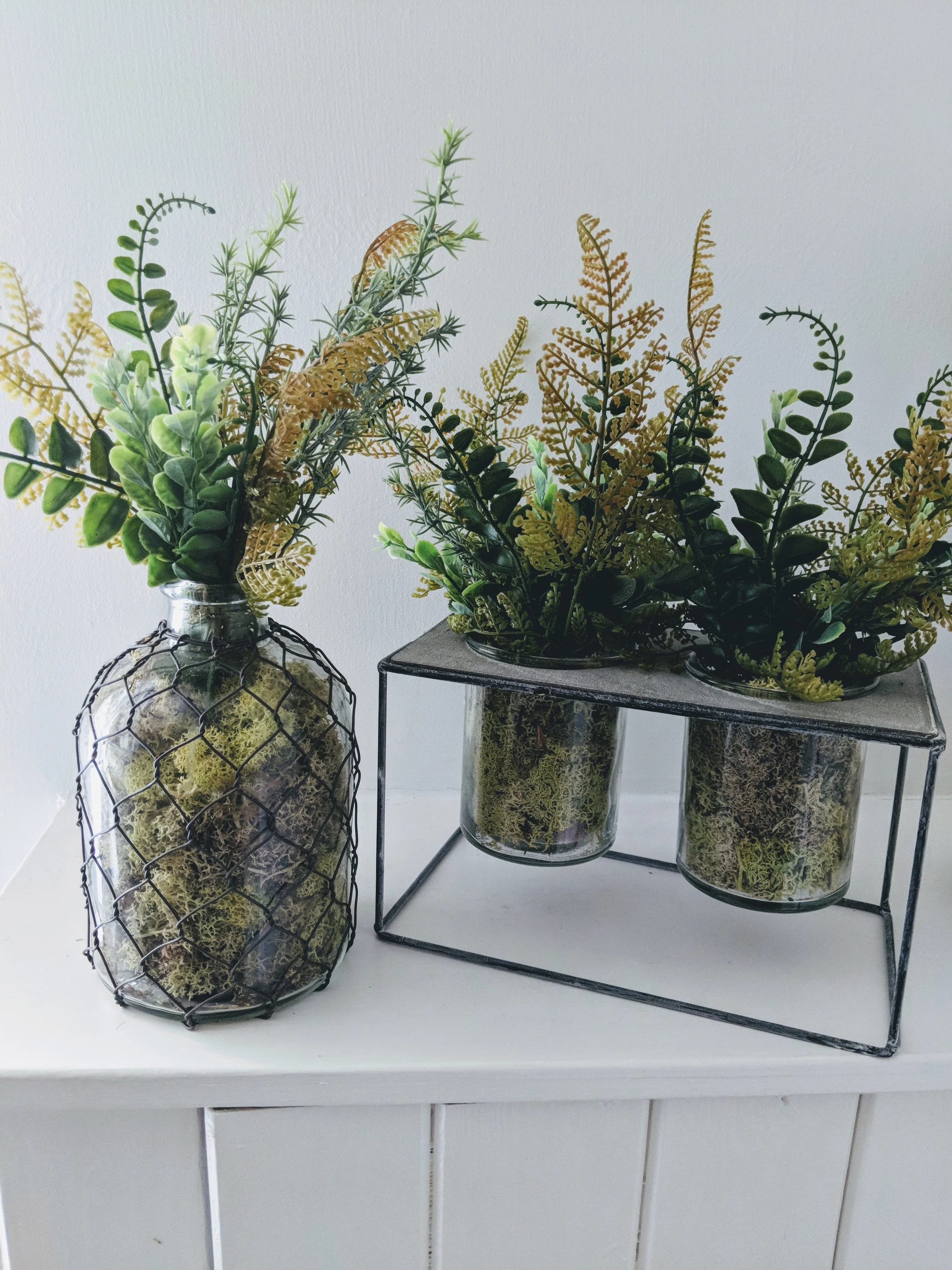 Plant Arrangement