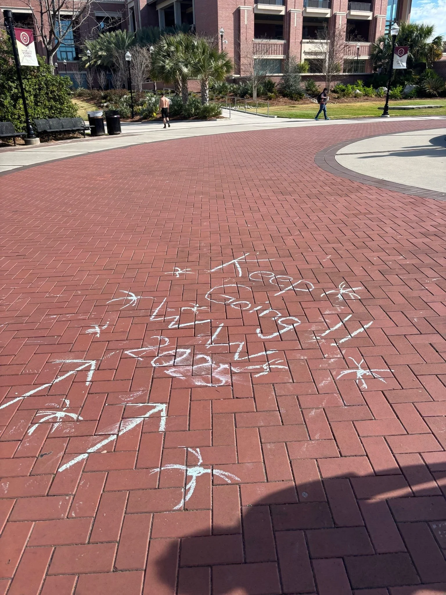 20250301_105939_936196 2.jpeg