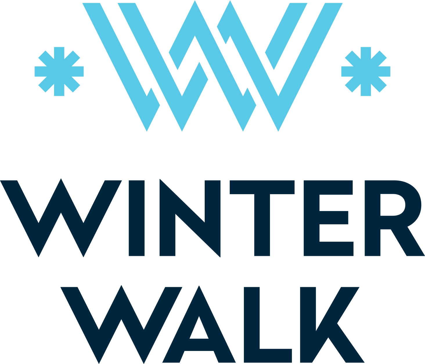 Winter Walk