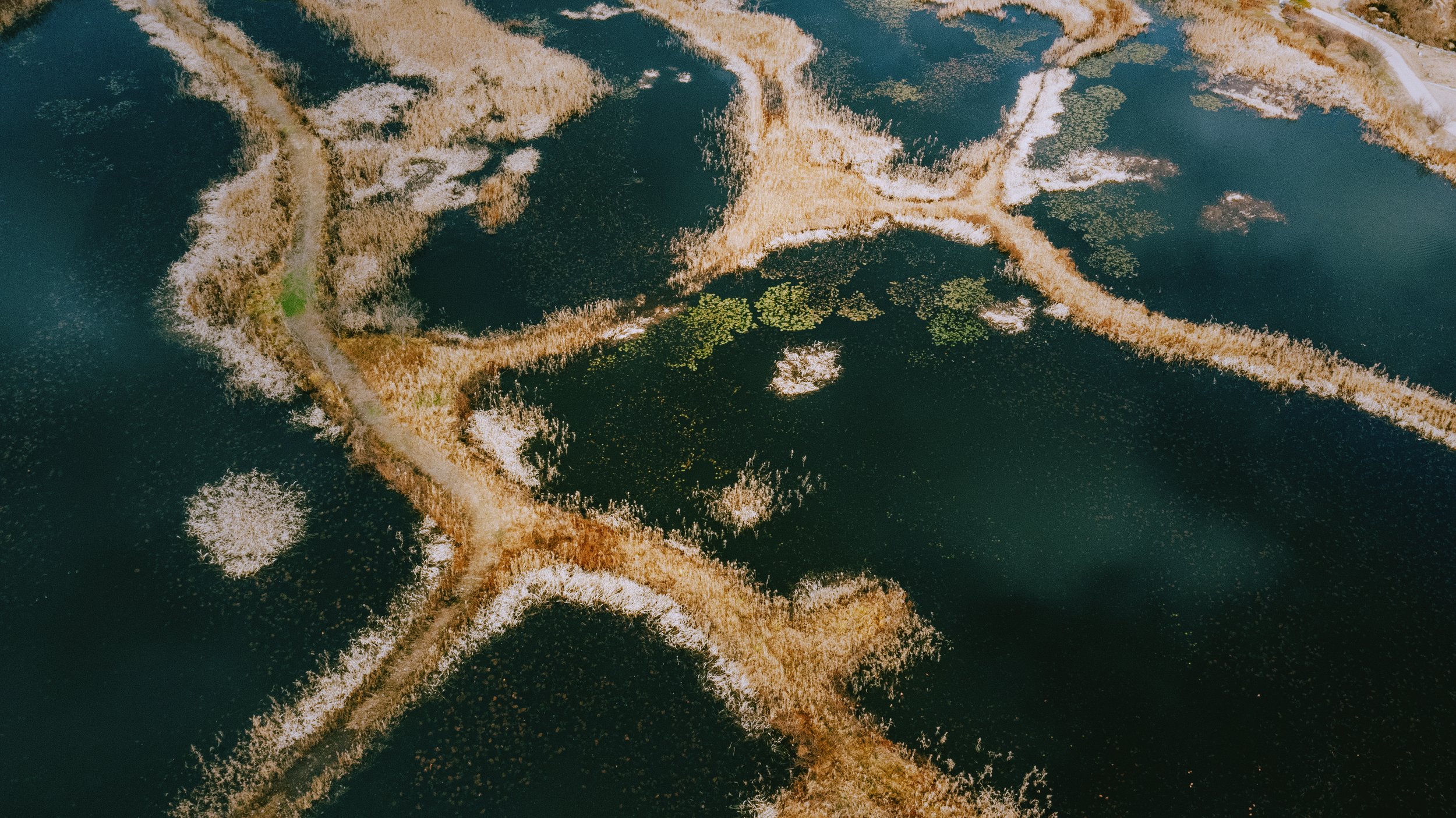 DJI_0024-1.jpg
